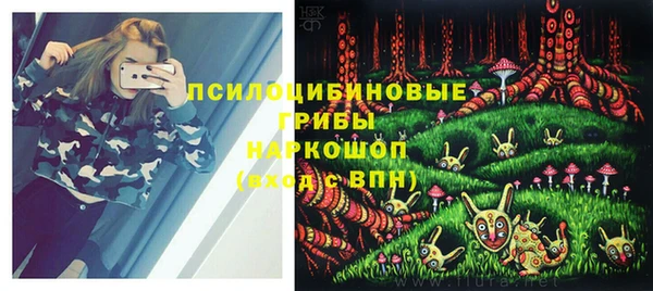 спайс Верея