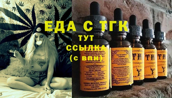 индика Богородск